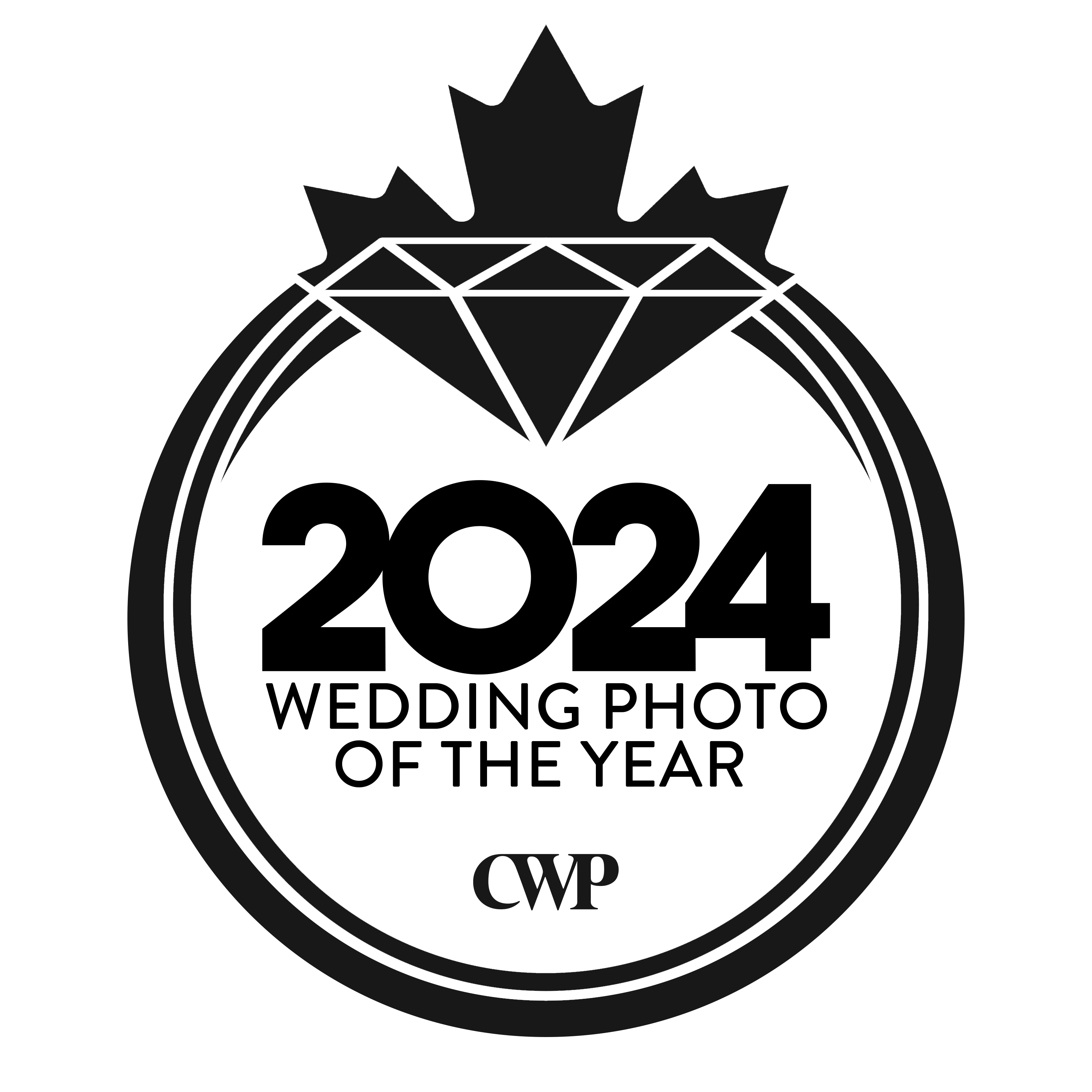 Wedding Photo of the Year