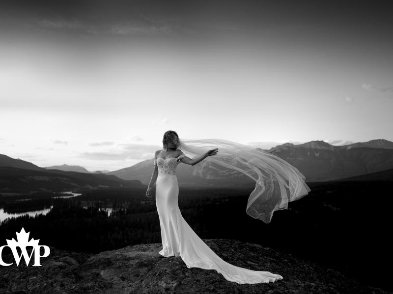 The Summit at Sunset (Jasper, Alberta), Carey Nash
