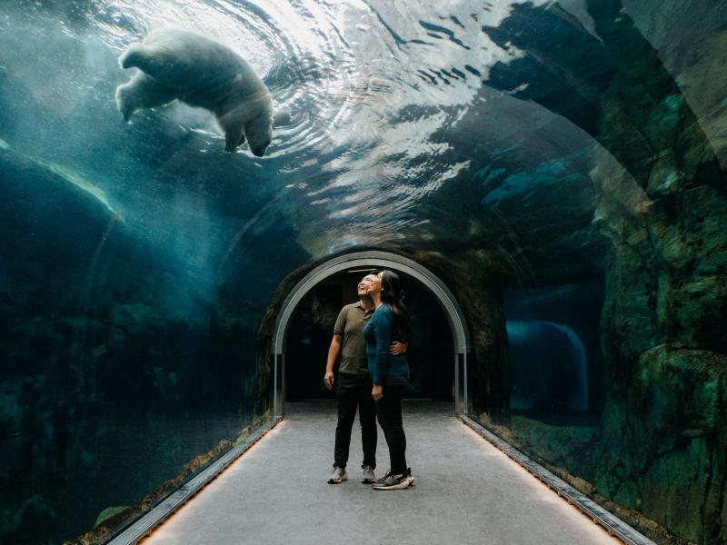 Wedding Photographers You Should Be Following: Winnipeg + Area Edition (2026)