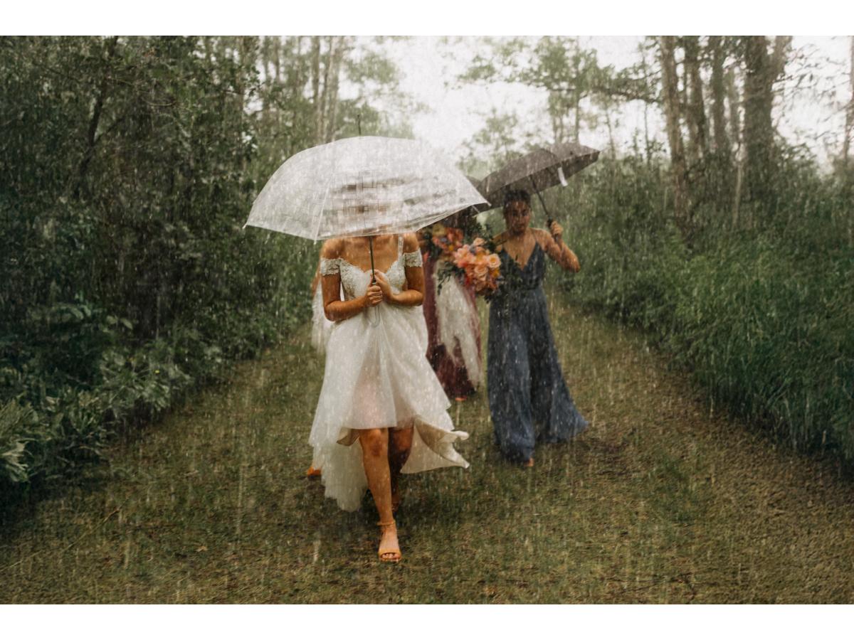 Contest Photograph