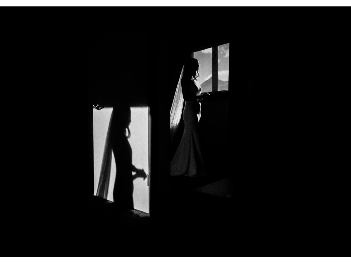 Contest Photograph