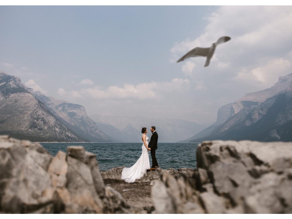 Contest Photograph