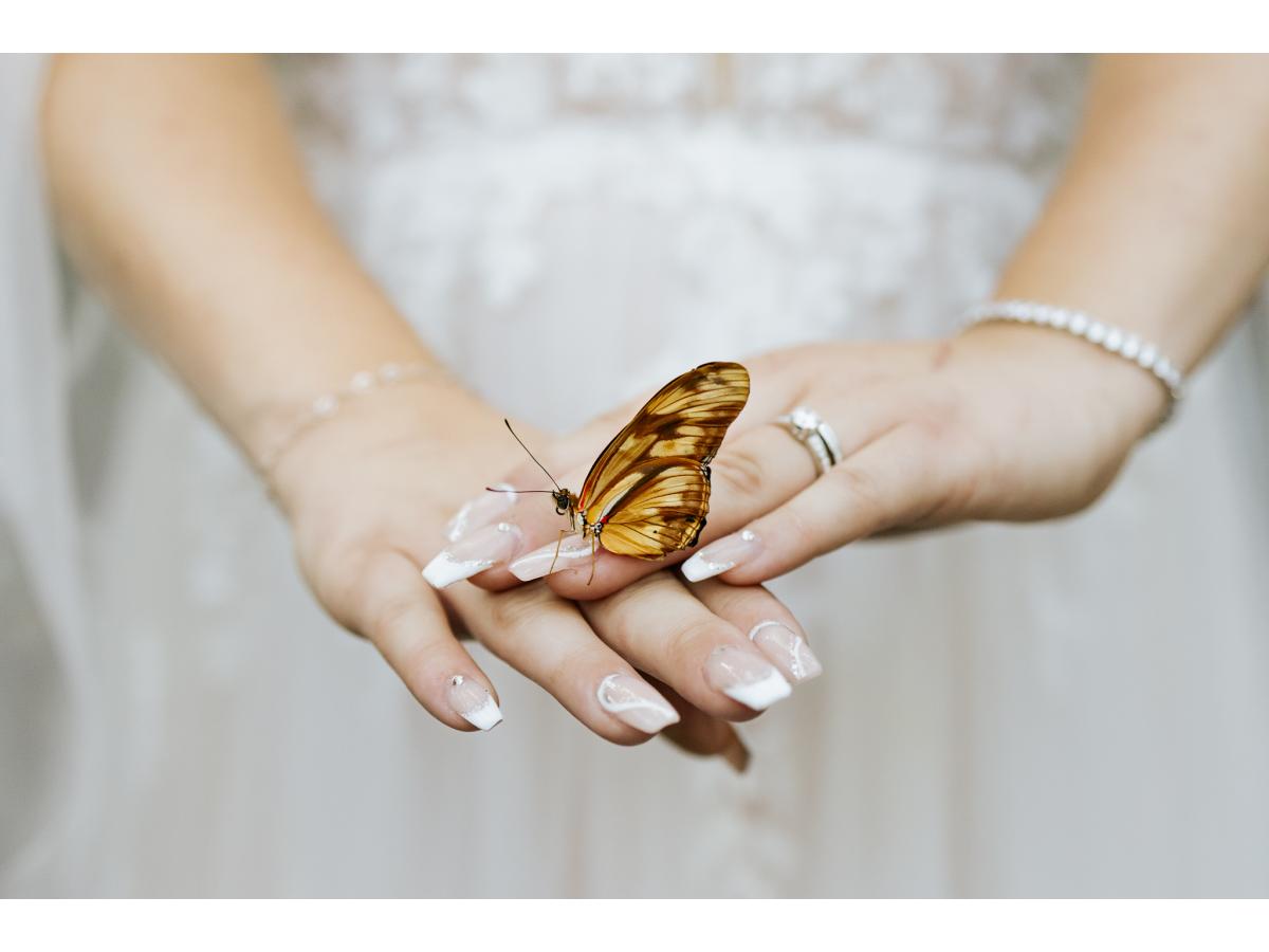 Contest Photograph