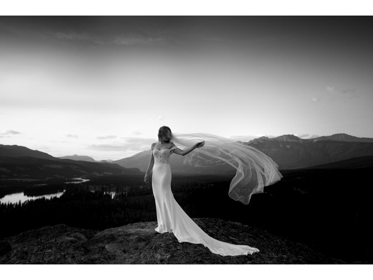 Contest Photograph