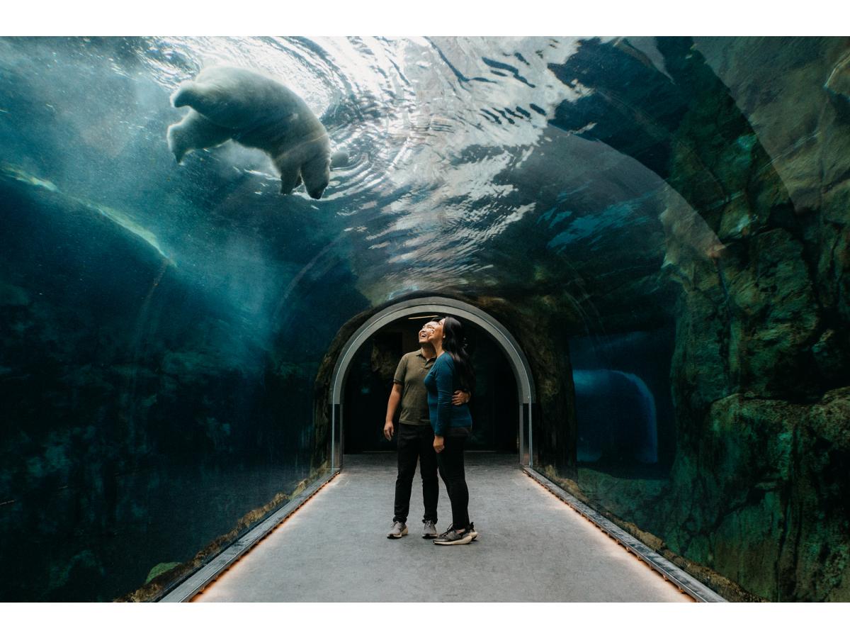 Contest Photograph