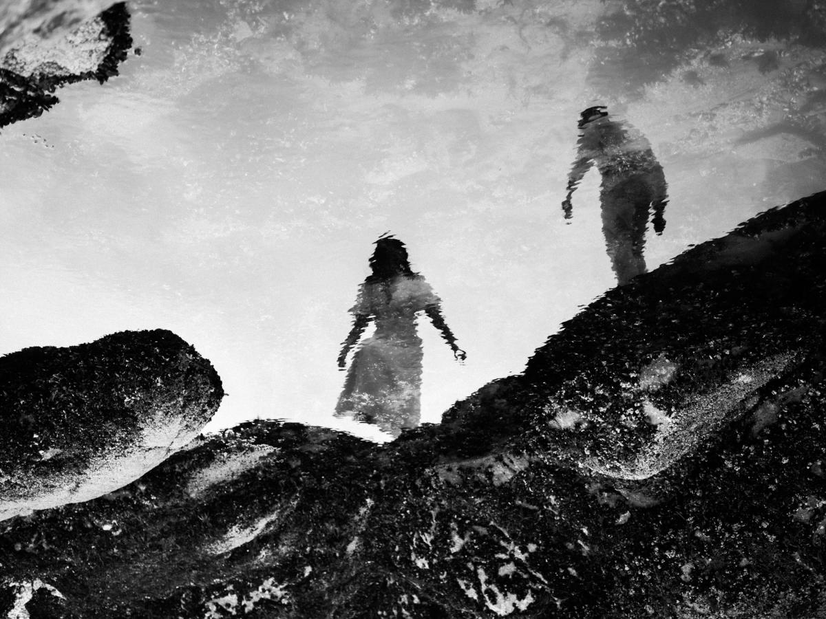 Contest Photograph