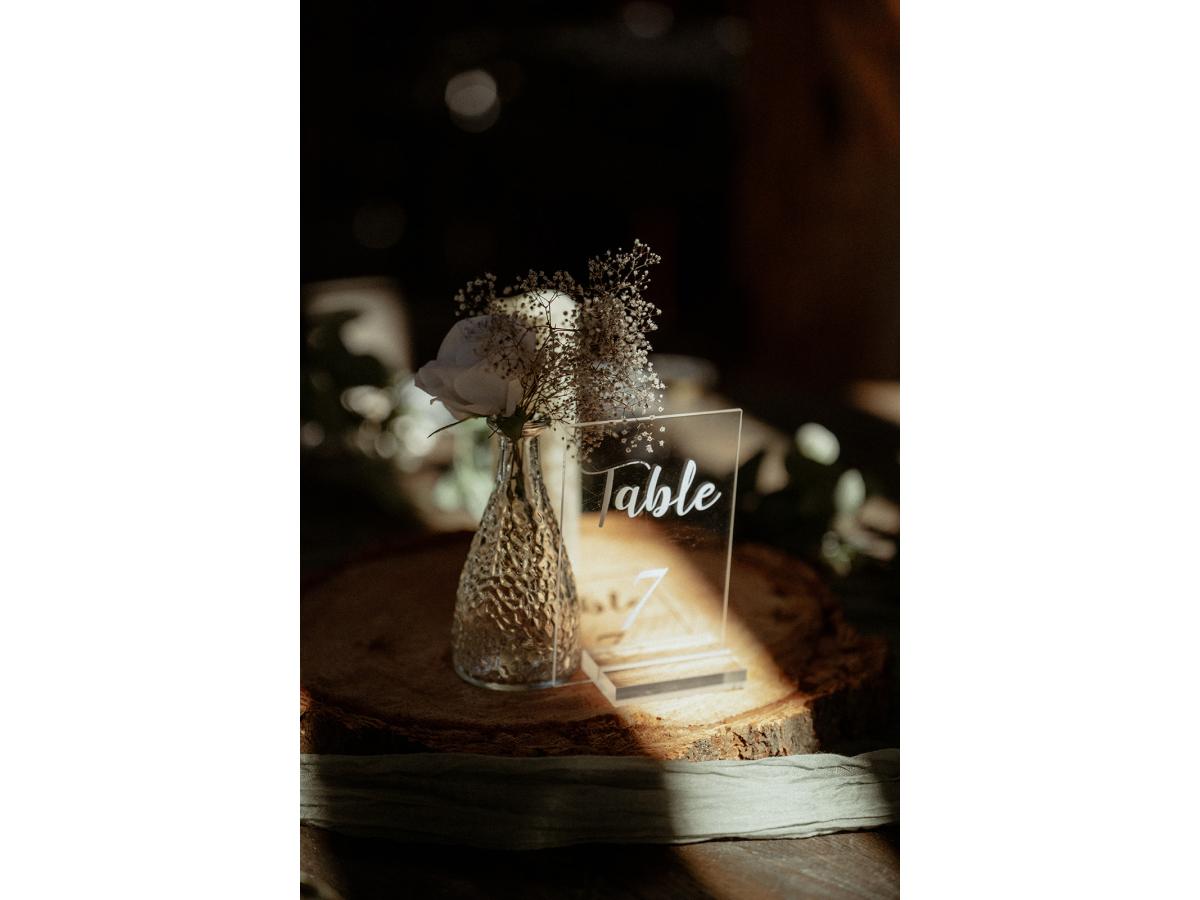 Contest Photograph
