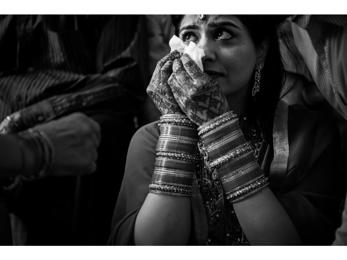 Contest Photograph