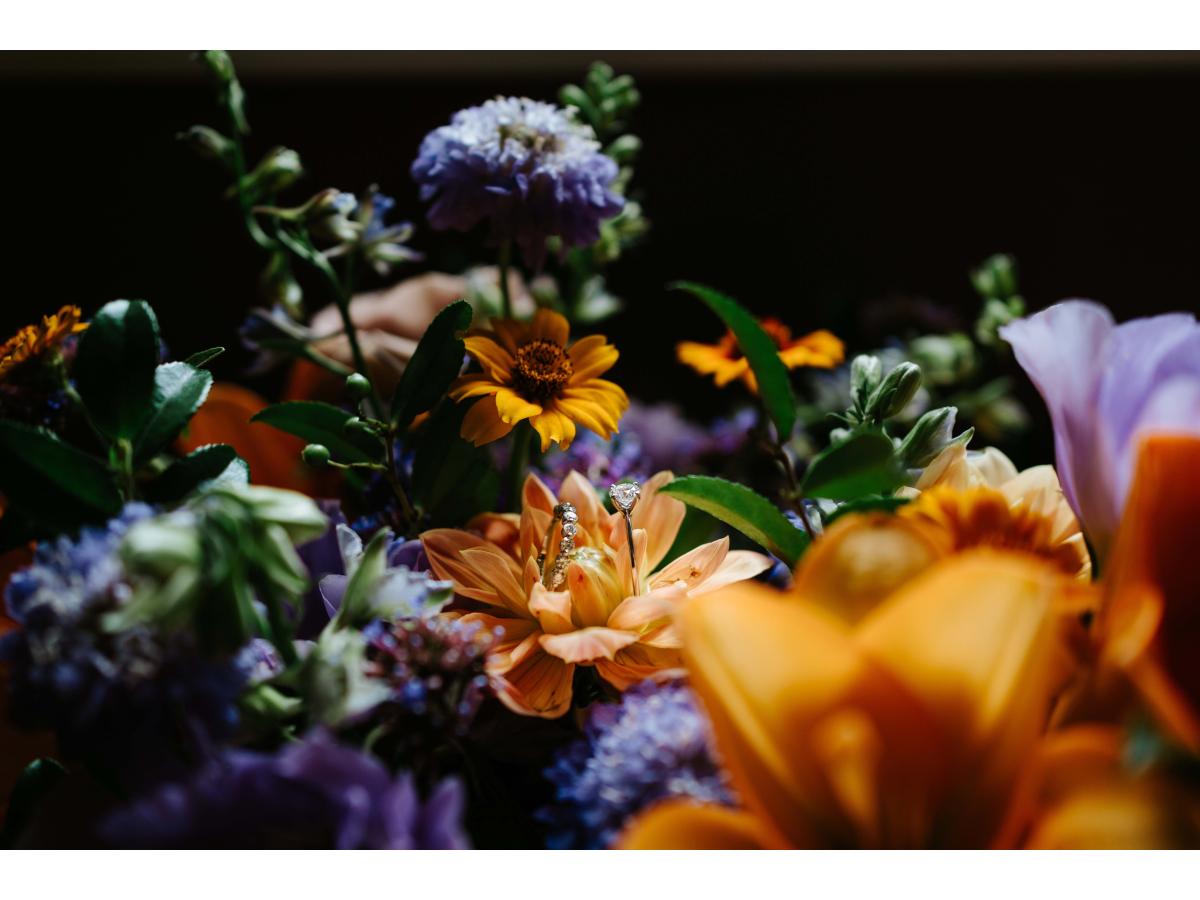 Contest Photograph