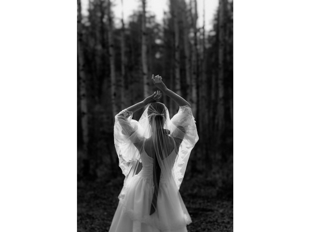 Contest Photograph