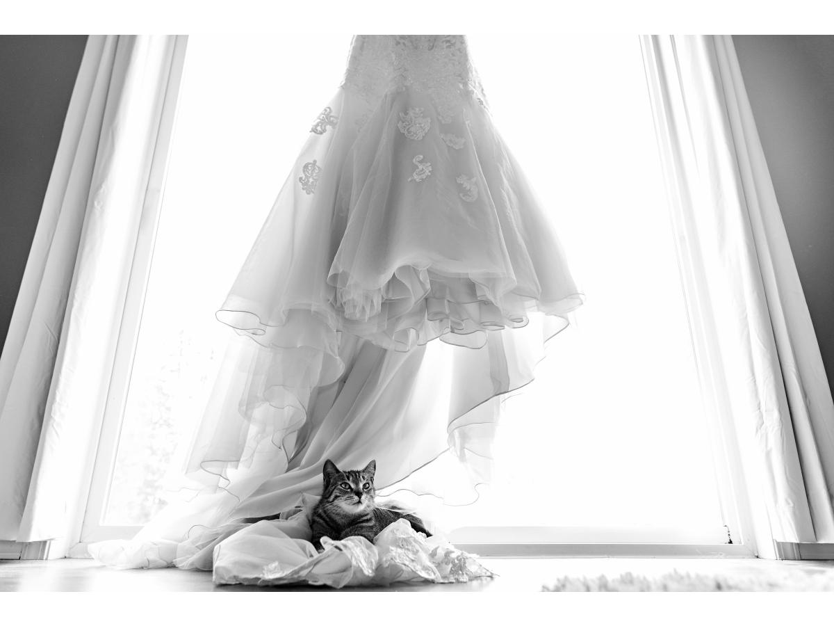 Contest Photograph