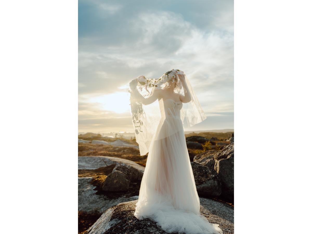 Contest Photograph