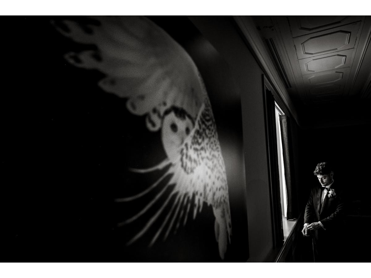 Contest Photograph