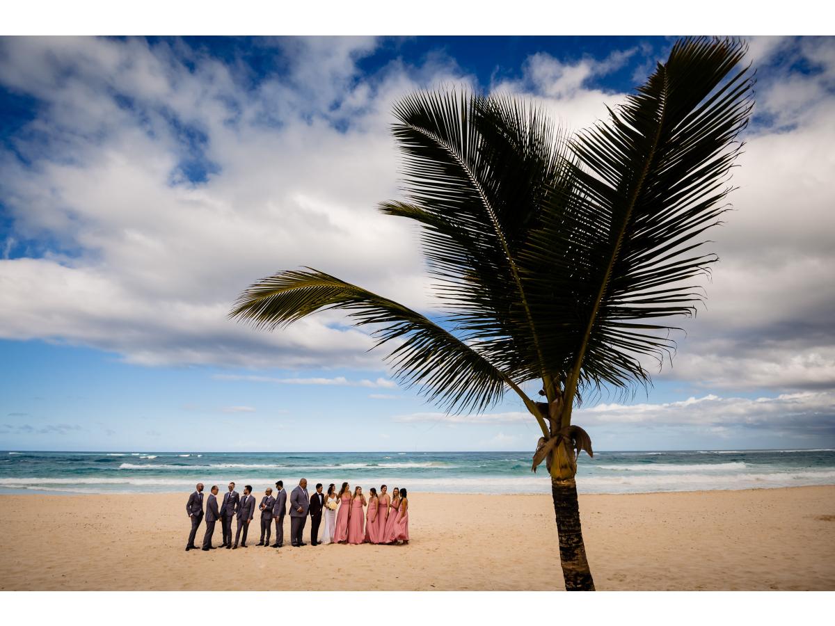 Contest Photograph
