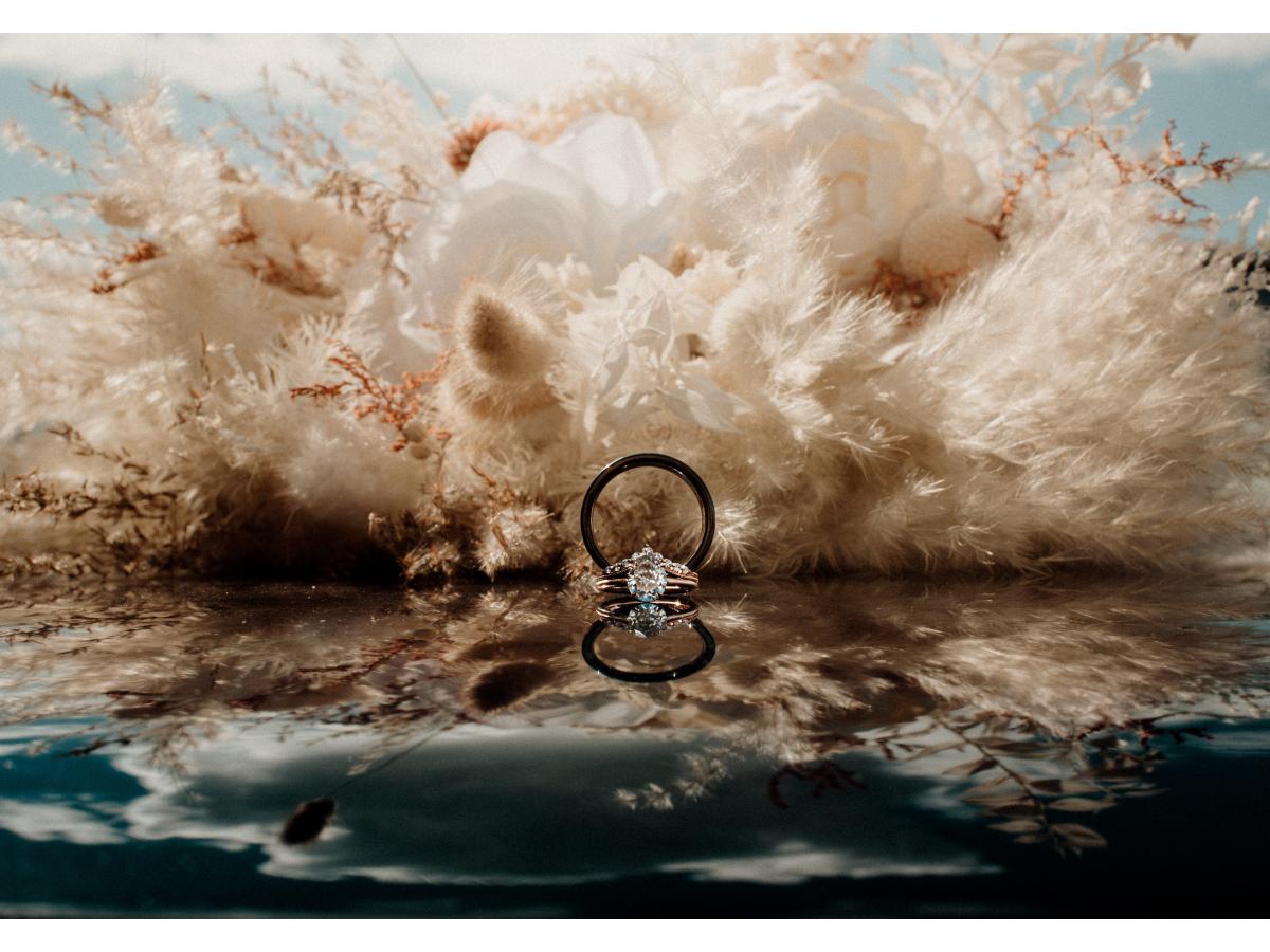 Contest Photograph