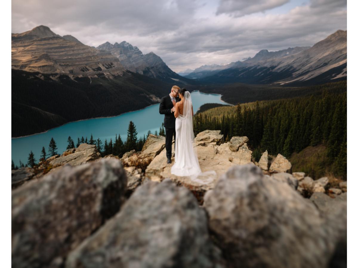 Contest Photograph