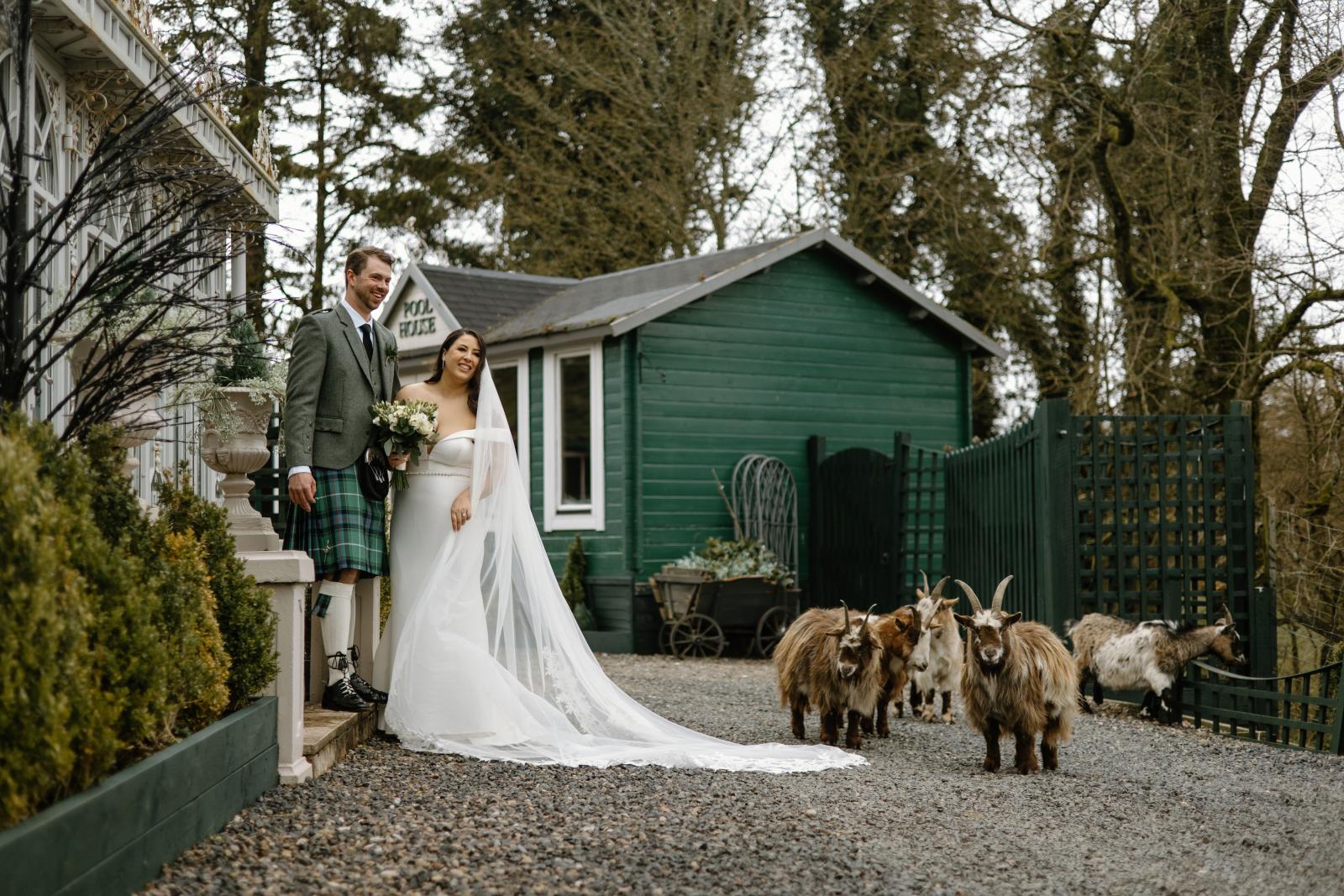 Top 11 Best Wedding Photographers in BC of 2024 - Tyler Meers