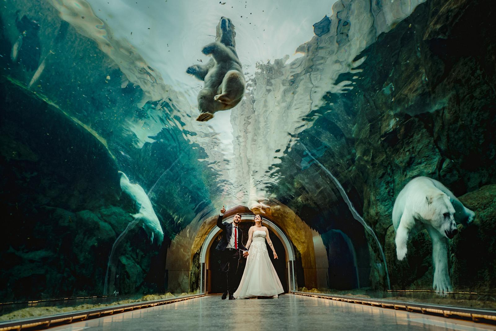 Assiniboine Park Zoo Wedding Venue, Winnipeg