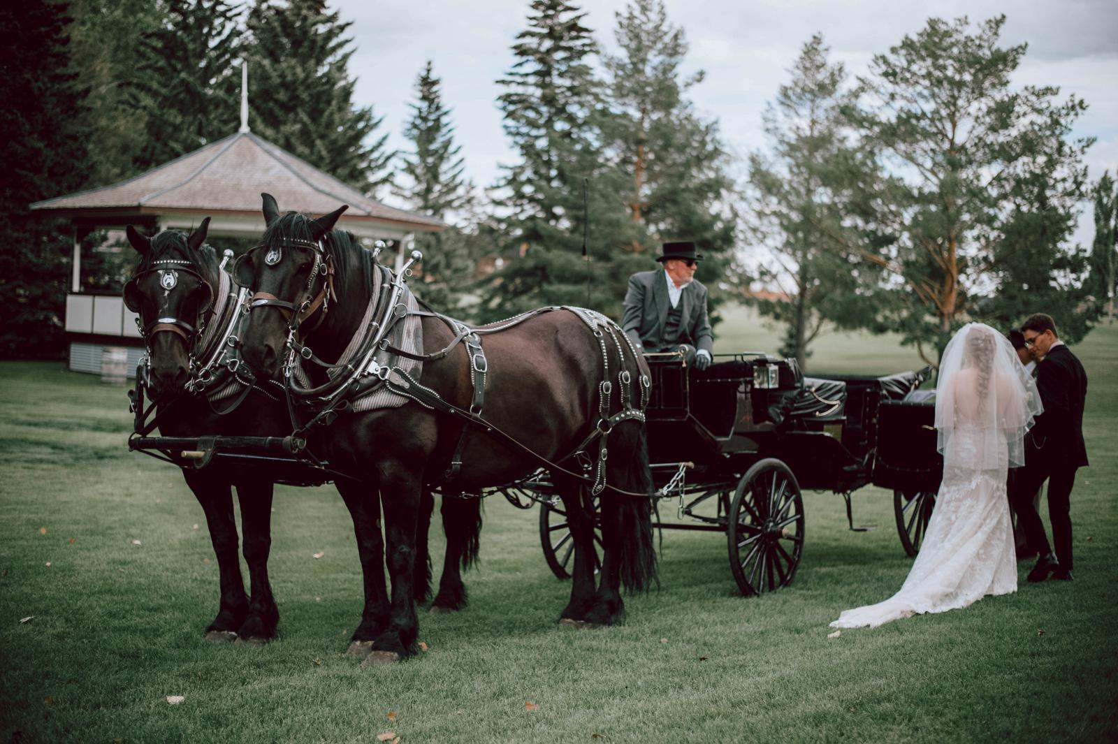 Wedding Fairytale Carriage Arrival at the Prince House