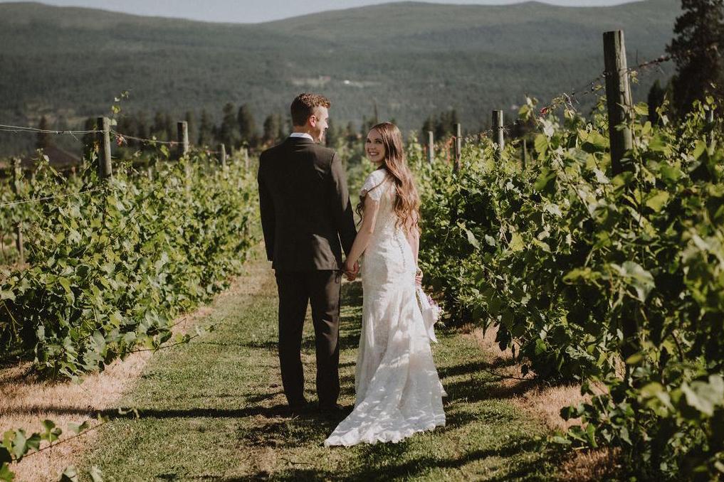 Bride and groom walking through Vineyard in Kelowna