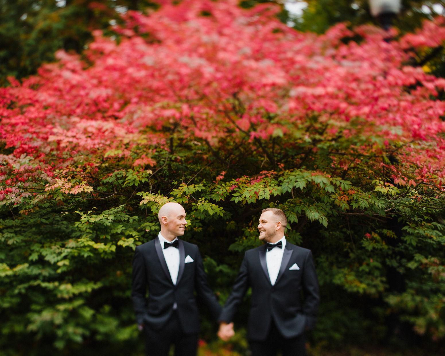 Wedding Photography by Sonia Bourdon