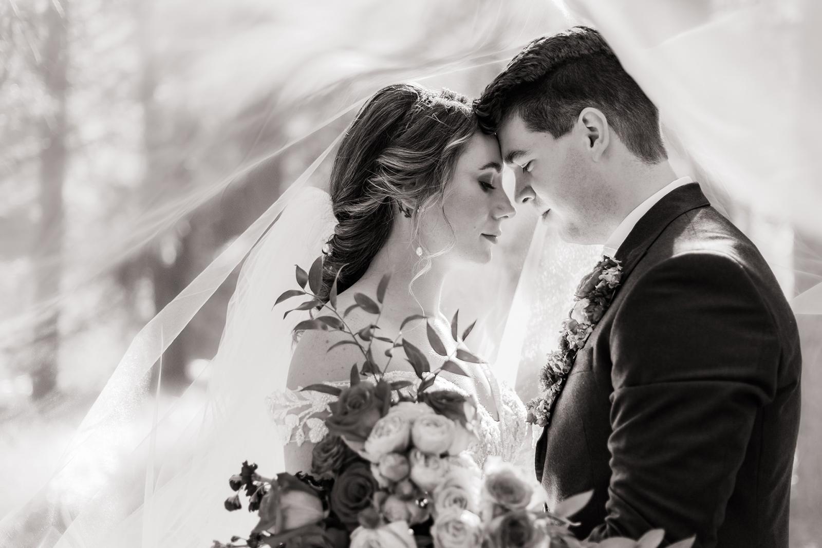 Calgary wedding photographer Mckenzie Brayley