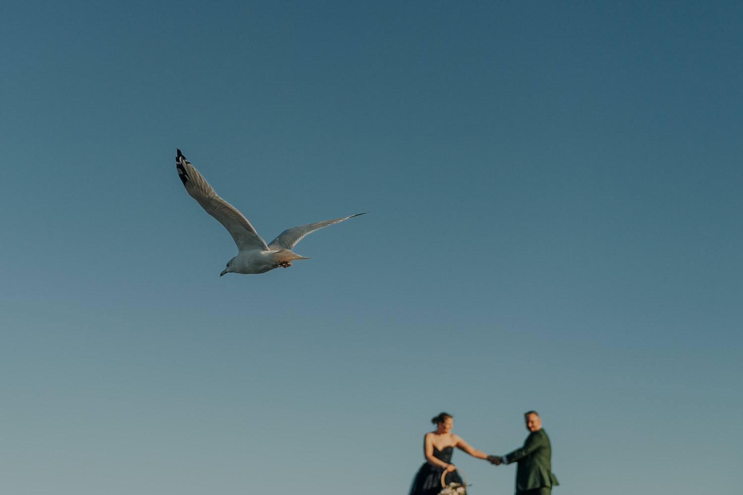 Wedding Photography by Love is Nord