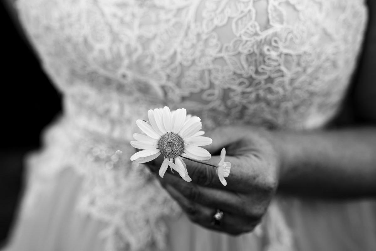 Wedding Photography by Bradley Wari, Three Tree Photography