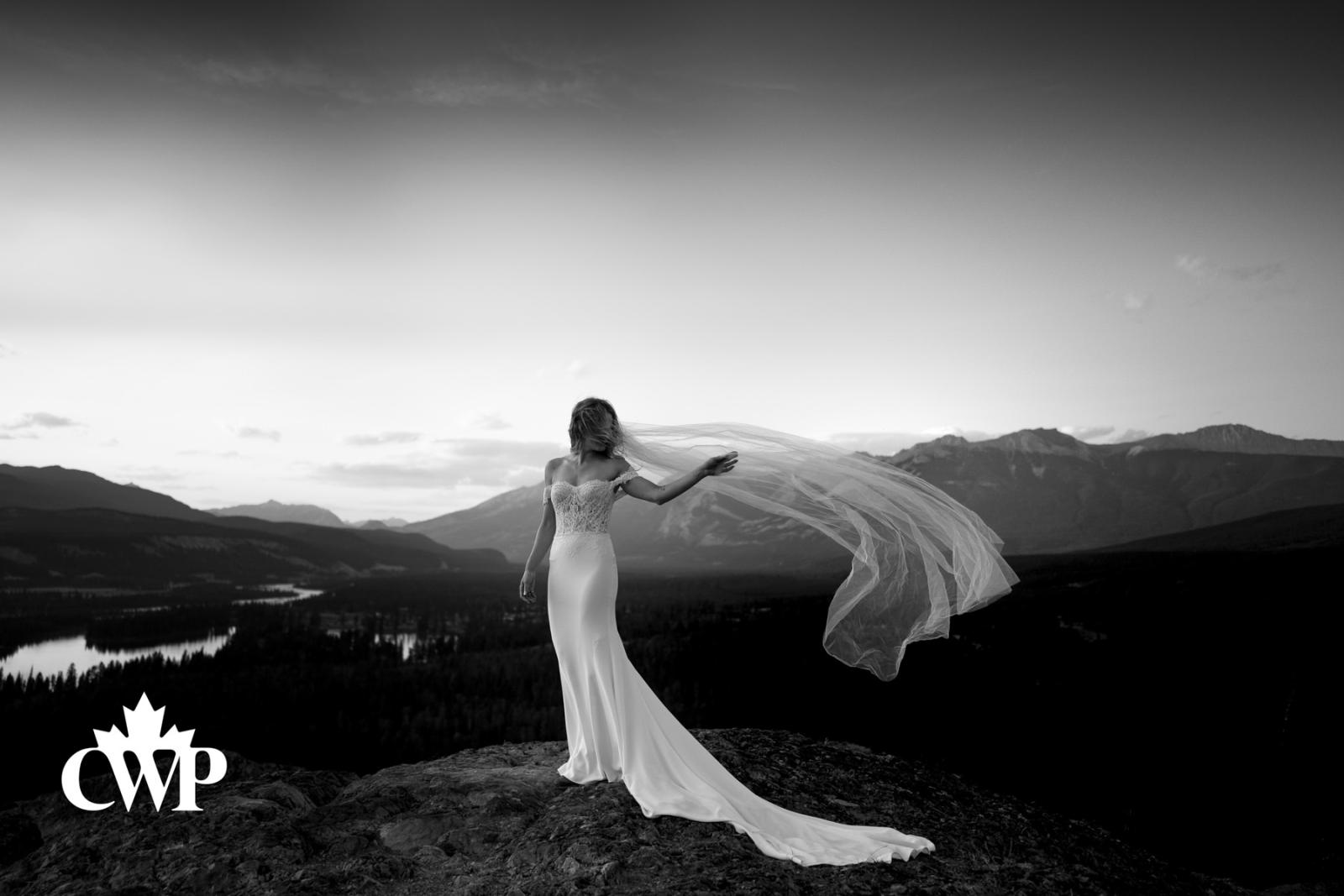 The Summit at Sunset (Jasper, Alberta), Carey Nash