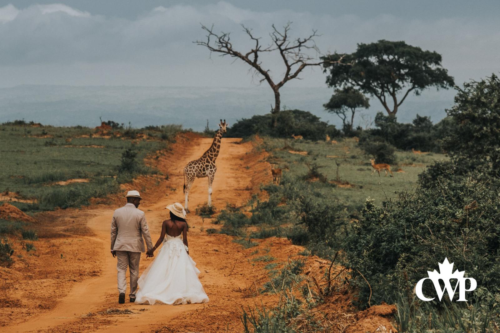 The Safari Interruption (Uganda), Carey Nash