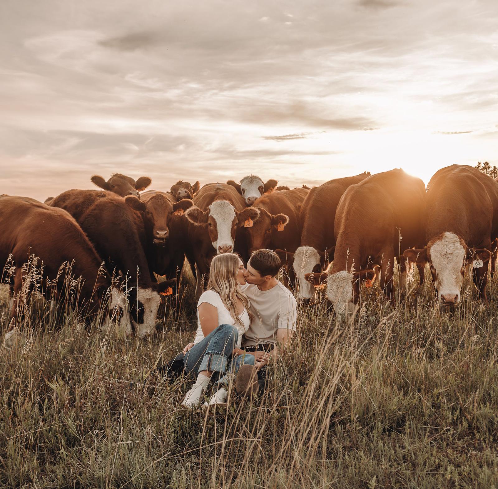 Dawn Kathryn Matthiessen – Daysland Wedding Photographer