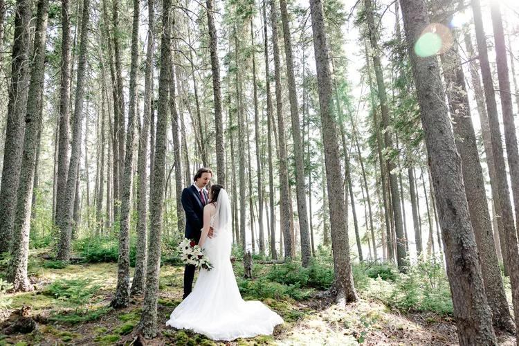 Tanis Elizabeth Photography