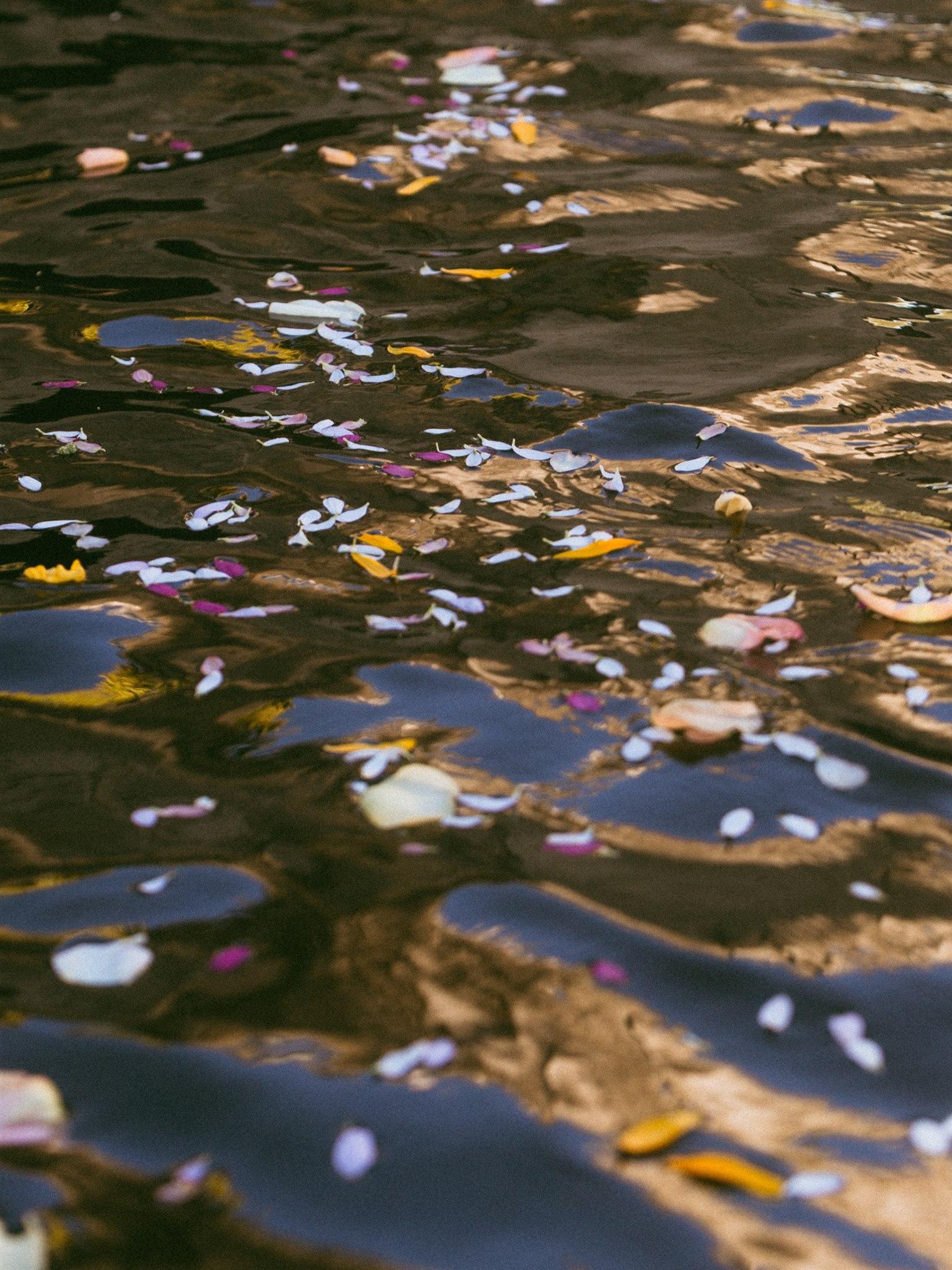 Featured Wedding: A Canoe, a Covered Bridge, and Build-Your-Own Sundaes